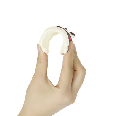 Silicone personnalisé par bébé coloré Teether avec le cheval Dino Shape de moutons