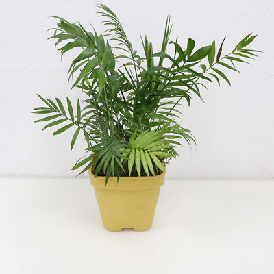 Pot de fleur fonctionnel multi de silicone écologique avec le logo adapté aux besoins du client