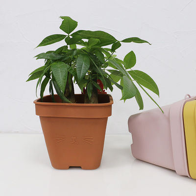Pot de fleur fonctionnel multi de silicone écologique avec le logo adapté aux besoins du client