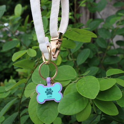 Étiquettes de chien silencieuses en silicone sans BPA Étiquette de cou de chien en silicone colorée en vente unique Étiquettes d'identification de chien en silicone accessoires