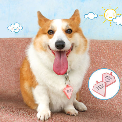 Étiquettes personnalisées pour chiens en 3D en code QR pour chiens Collier pour chat Étiquette pour animaux de compagnie en silicone