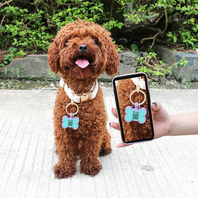 Étiquettes personnalisées pour chiens en 3D en code QR pour chiens Collier pour chat Étiquette pour animaux de compagnie en silicone