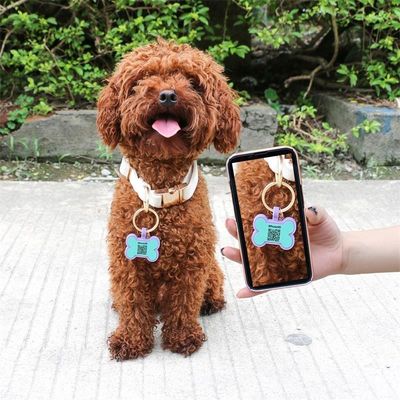 Vente en gros MOQ faible Forme bon marché différente Beaucoup de couleurs pour les options de silicone blanc marque de chien nom marque d'identification