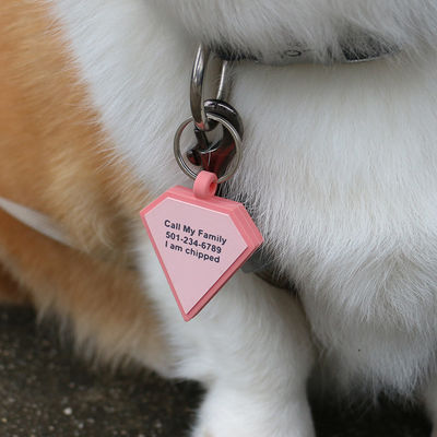 Vente en gros MOQ faible Forme bon marché différente Beaucoup de couleurs pour les options de silicone blanc marque de chien nom marque d'identification